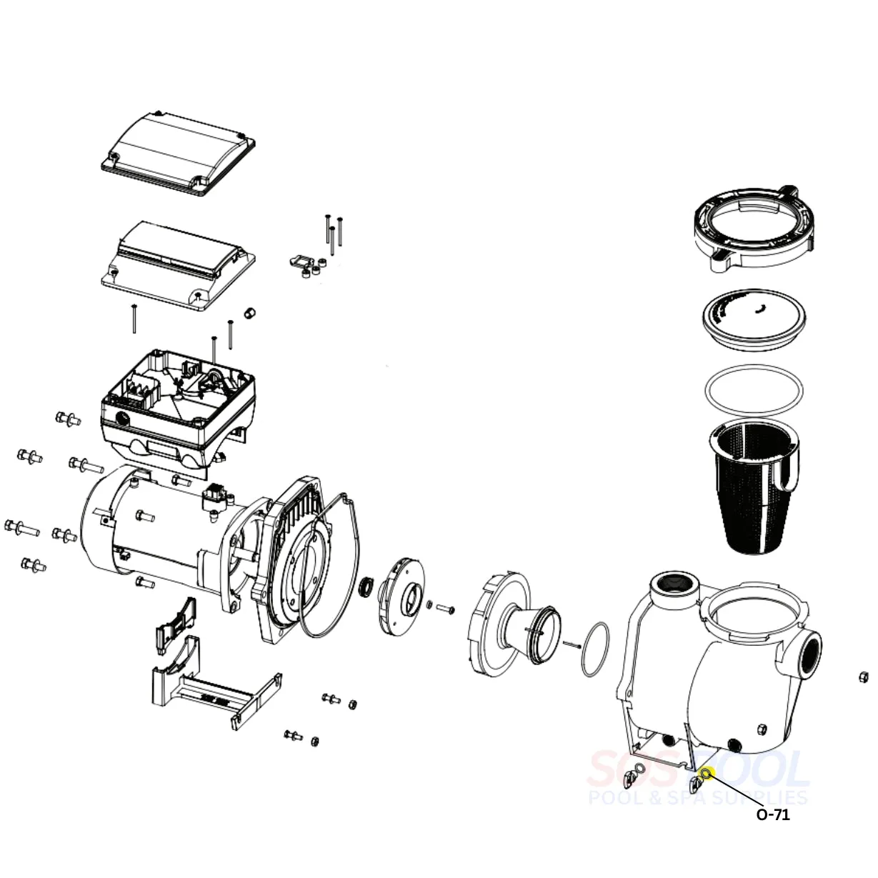 Aladdin Drain Plug O-Ring for Pentair Pumps | 51005000 | O-71