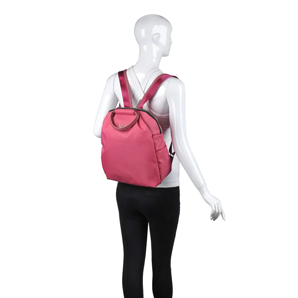 All Out Backpack