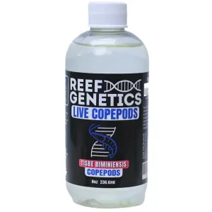 Reef Genetics Live (Tisbe biminiensis) Tisbe Copepods - BYR