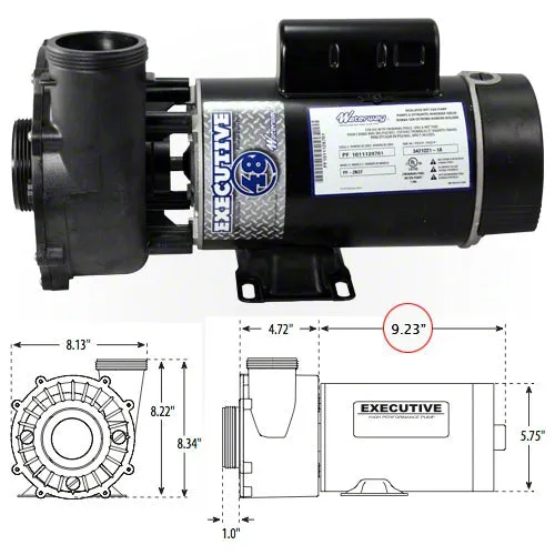 Waterway Executive 1 Horsepower 1 Spd 48 Frame Pump 3410410-1A - 2"