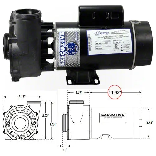 Waterway Executive 4.5 Horsepower 2 Spd 48 Frame Pump 3421821-1A - 2"