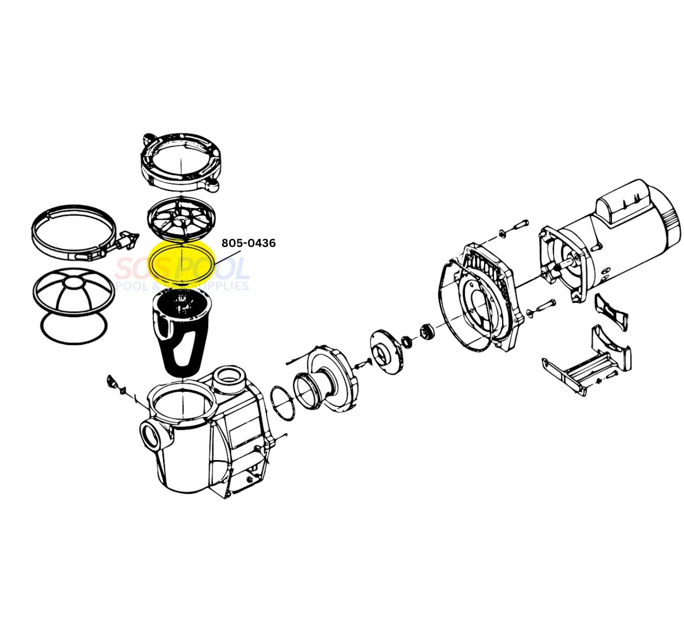 Waterway O-Ring For Pentair Pump Trap Lid | 805-0436