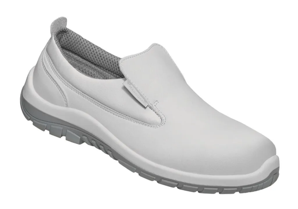 Will&#x20;W310&#x20;S2&#x20;-&#x20;MAXGUARD